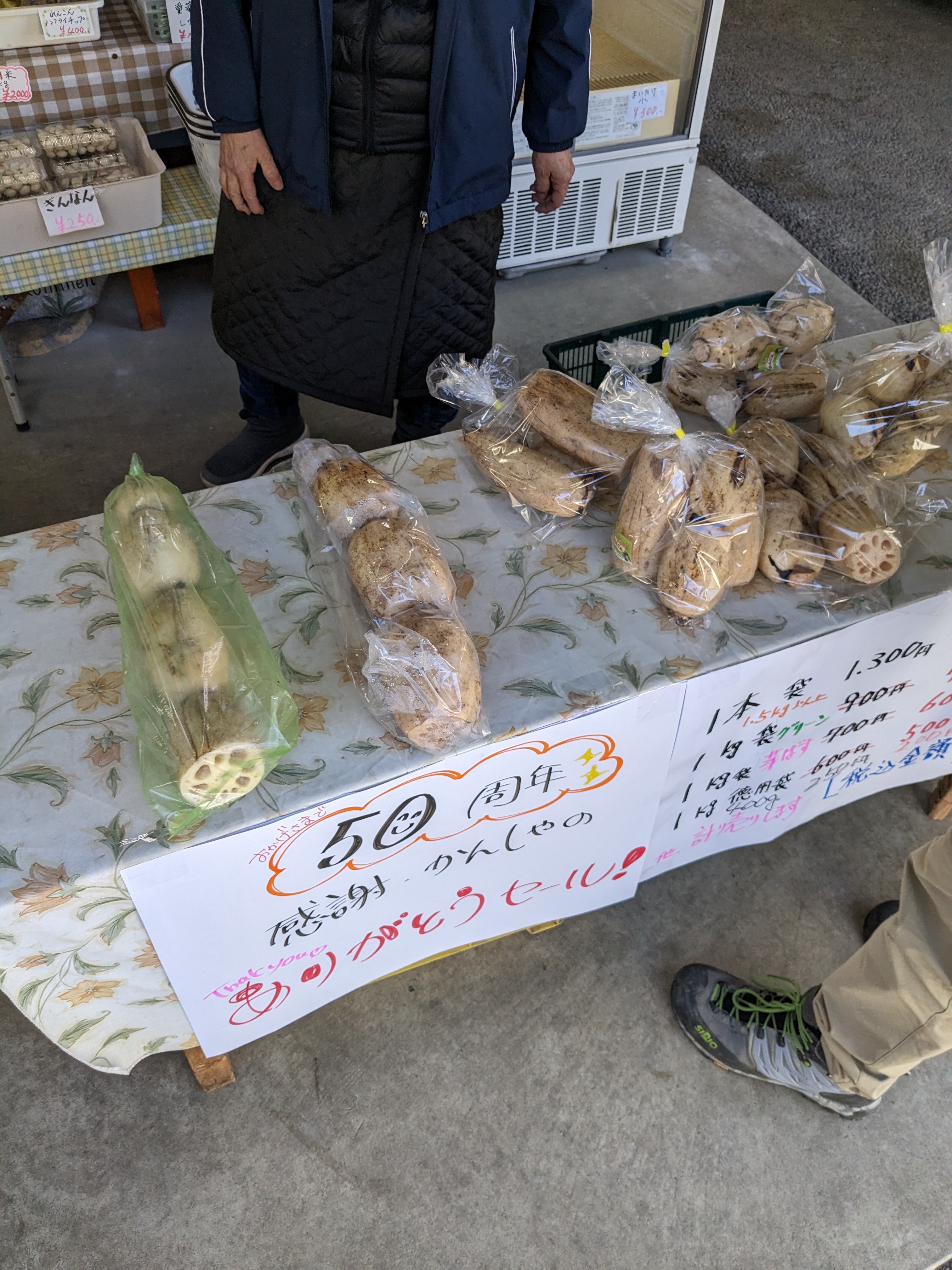蓮根